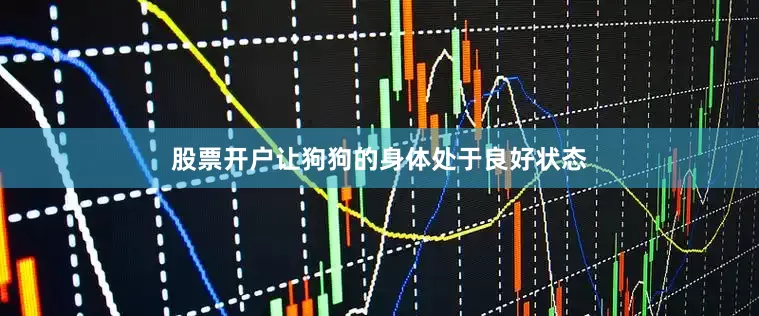 股票开户让狗狗的身体处于良好状态