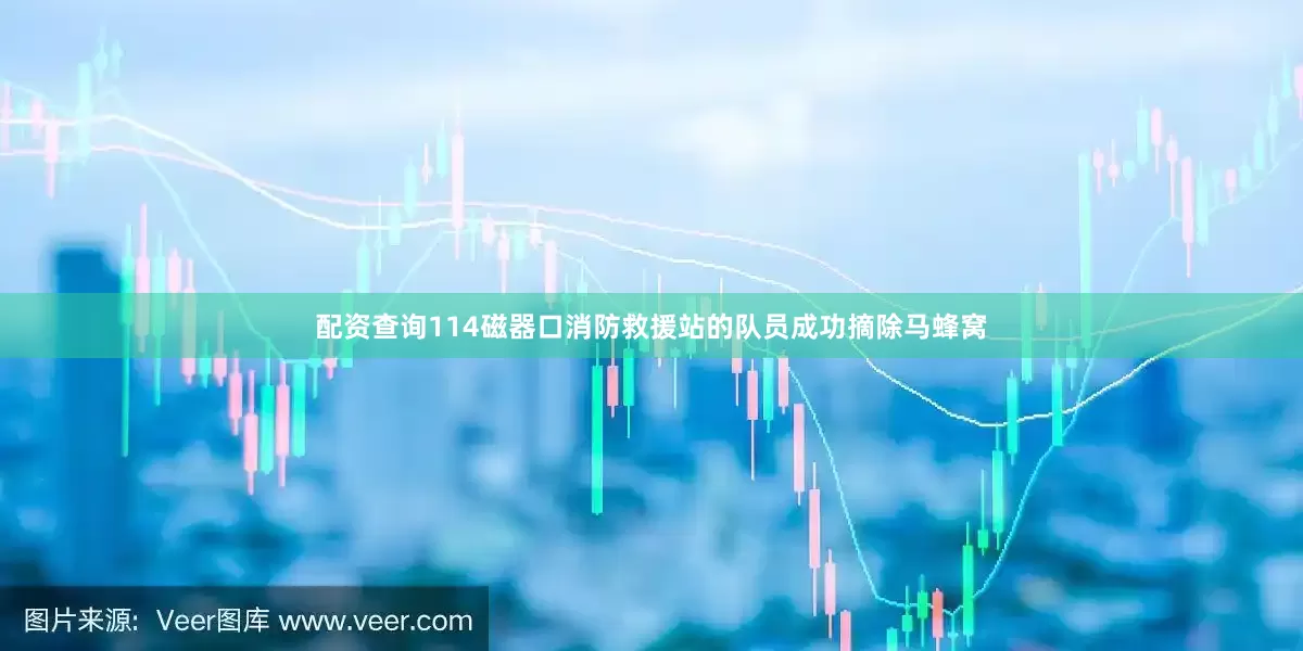 配资查询114磁器口消防救援站的队员成功摘除马蜂窝